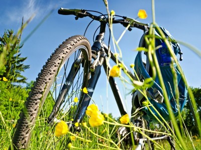 Sonstige sportliche Aktivitten