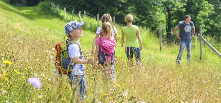 Wandern